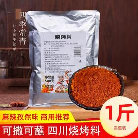 烧烤料商用撒料500g调料五香孜然重庆烤肉秘制蘸料四川麻辣调味料