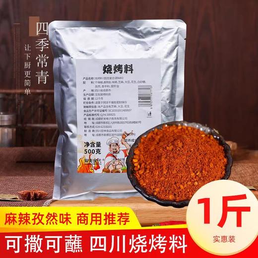 烧烤料商用撒料500g调料五香孜然重庆烤肉秘制蘸料四川麻辣调味料 商品图0