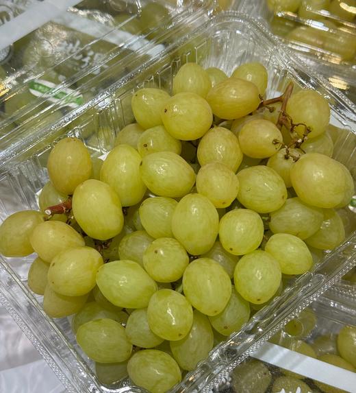 周四取货：【地得青提】一盒1斤左右，无籽，超甜，颗颗小糖豆。 商品图0