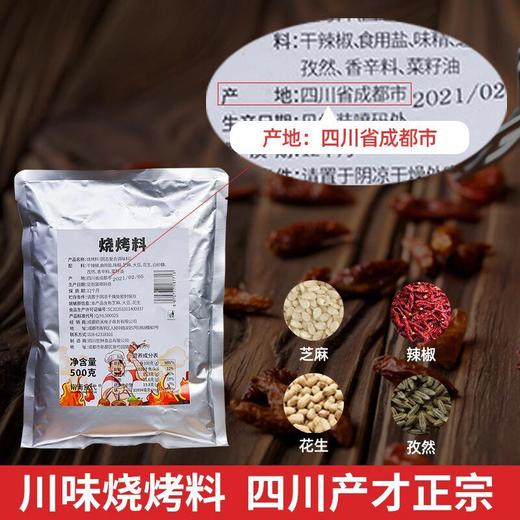 烧烤料商用撒料500g调料五香孜然重庆烤肉秘制蘸料四川麻辣调味料 商品图1