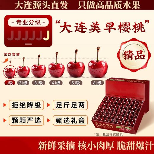 【大连美早樱桃】核心产区10年老树自然熟，原生态种植，无催熟无膨大剂。（72小时内发货，节假日顺延） 商品图6