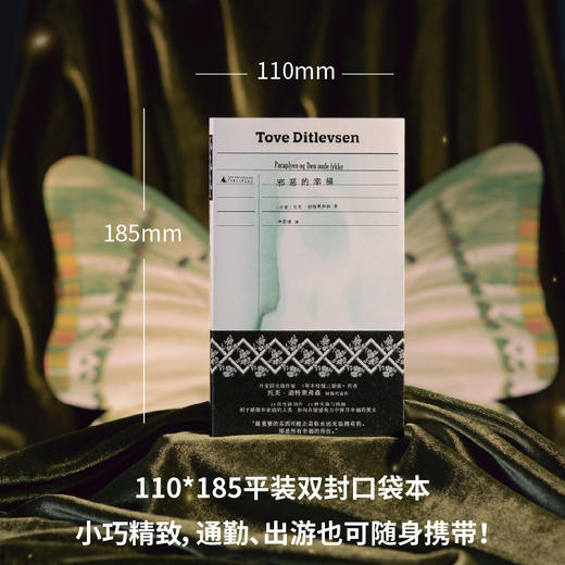 邪恶的幸福（《哥本哈根三部曲》作者托芙·迪特莱弗森短篇代表作，书写女性生活中的希望与失望，展现困于婚姻制度和情感关系的人类处境） 商品图4