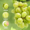 新鲜水果 脆爽清甜 皮薄无籽进口甜地球青提  15.8元/斤 （称重退差，多退少补） 商品缩略图1