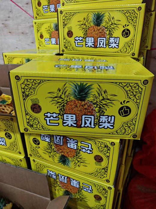现货凤梨一箱（3个）
6斤左右 商品图2