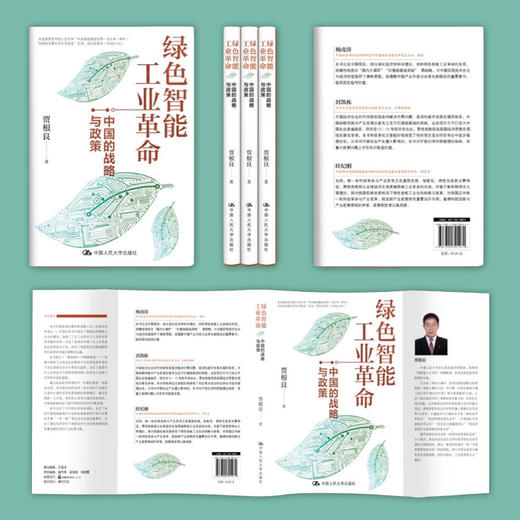 《绿色智能工业革命：中国的战略与政策》 商品图6