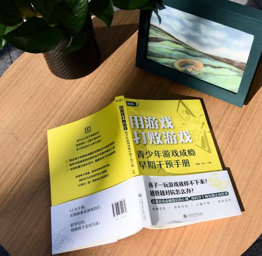 用游戏打败游戏 ：青少年游戏成瘾早期干预手册 商品图3