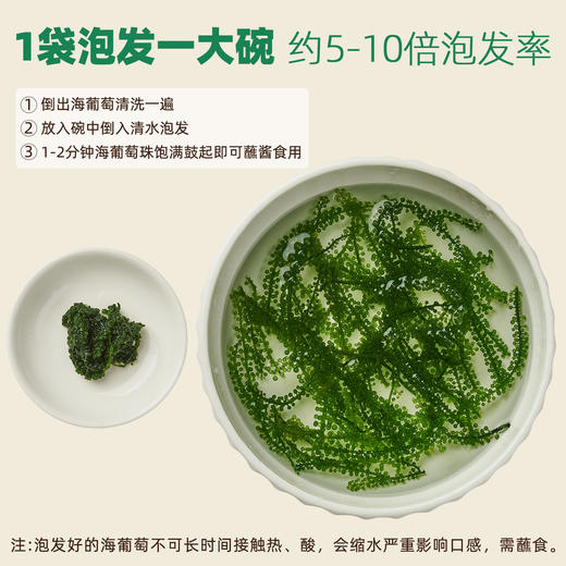 【颗颗爆珠❗️儿童即食海葡萄】源自深海「自带海洋风味」口感脆嫩爆珠，无额外添加，美味健康无负担，老少咸宜健康零食盐渍海葡萄新鲜水葡萄L-d 商品图4