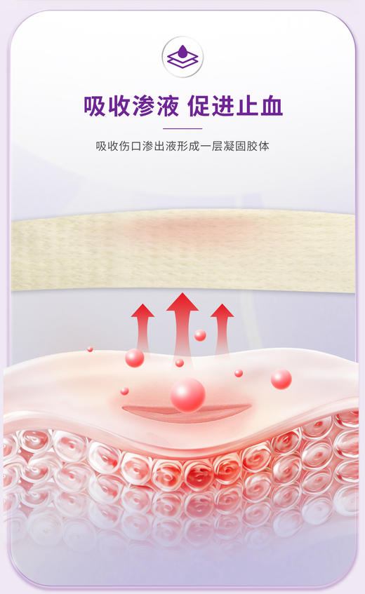 （全进口）convatec康维德藻酸盐敷料医用伤口敷料敷贴168212 商品图8