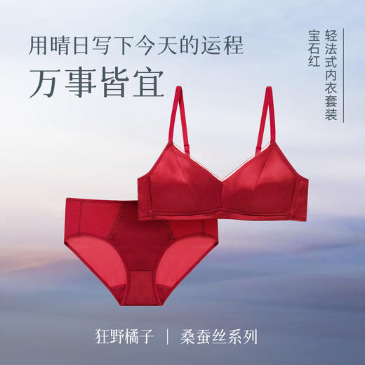 狂野橘子·真丝轻法式内衣/套装，6A级19姆米重磅桑蚕丝，改良法式版型，4色可选，亲肤舒适无钢圈 商品图4