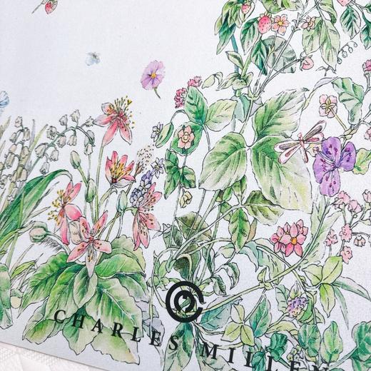 29.9元起秒，官旗179元【硅藻泥地垫】👉Charles Millen品牌直发！高岛屋专柜在售款！Morris系列    0426返团 商品图4