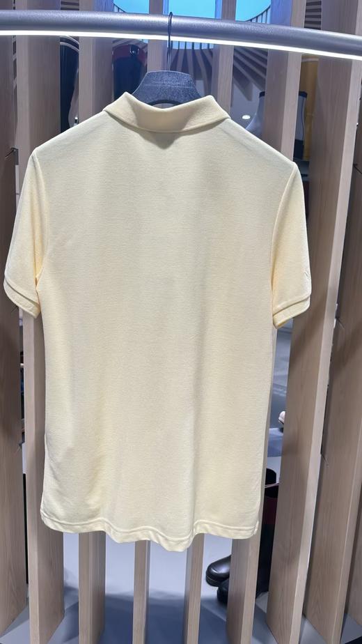 艾高 短袖POLOT恤男  BQ243-F . 商品图1