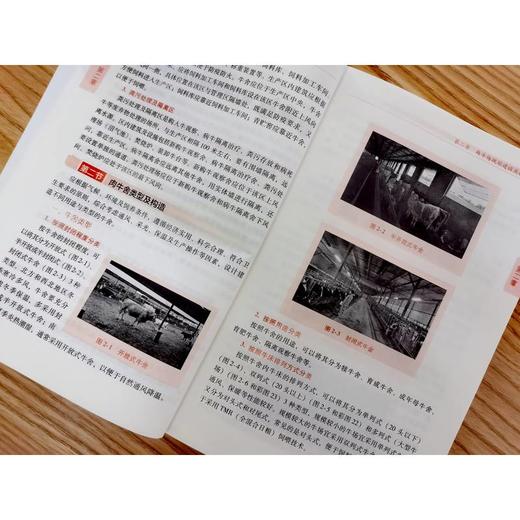 官网 肉牛高效饲养一本通 陈晓勇 肉牛场规划建设 饲料调制 饲养管理 常见病防治 肉牛高效饲养教程书籍 商品图3