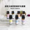 【送扩香木】玫瑰人生 植萃香薰精油 10ml（薰衣草、迷迭香、尤加利、葡萄柚、甜橙、柠檬、茶树） 商品缩略图0