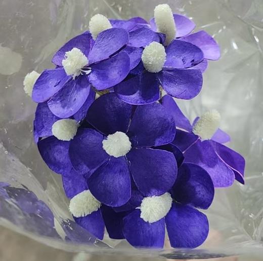 永生花材丨紫罗兰深紫 商品图0