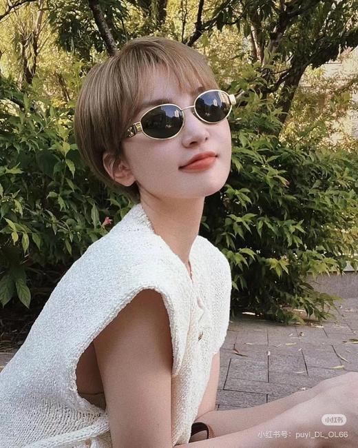 CELINE40235U复古凯旋门墨镜 商品图5