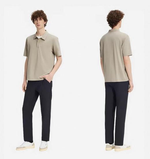 艾高 短袖POLOT恤男  BS316-F . 商品图1