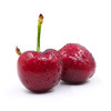 【大连美早樱桃】核心产区10年老树自然熟，原生态种植，无催熟无膨大剂。（72小时内发货，节假日顺延） 商品缩略图13