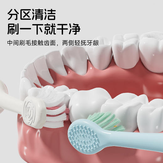 KUTA儿童分龄牙刷 | 双区双刷丝、洁净不伤龈、刷柄、好抓握、刷牙不费力、3-12岁 商品图2