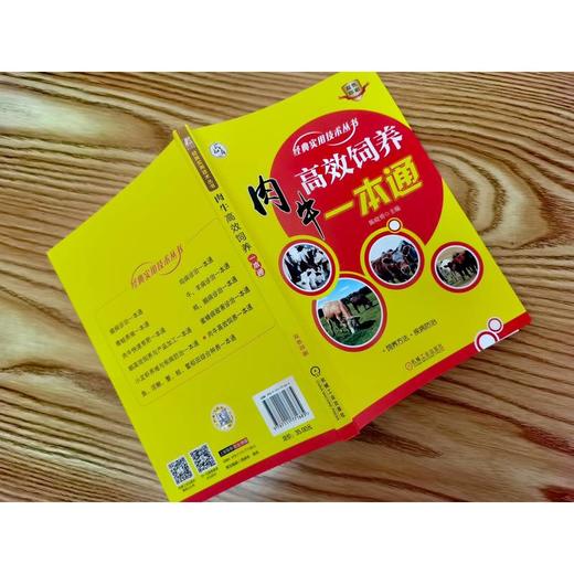 官网 肉牛高效饲养一本通 陈晓勇 肉牛场规划建设 饲料调制 饲养管理 常见病防治 肉牛高效饲养教程书籍 商品图2