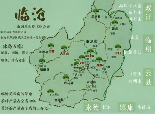 2026头春古树【岩子头】石缝里长出来的镇康顶流！ 商品图9