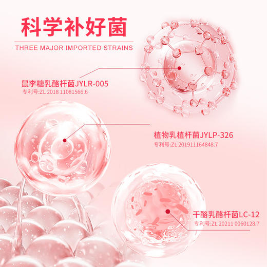 【菌群给力！多维营养组合】小红瓶胶原蛋白蔓越莓女性益生菌冻干粉成人复合富硒益生菌粉饮料。xb 商品图3
