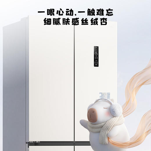 【新品上市】TCL方墩墩601升T9N十字对开双开四开门大容量双系统双净味零嵌新一级冰箱R601T9N-UQS 商品图7