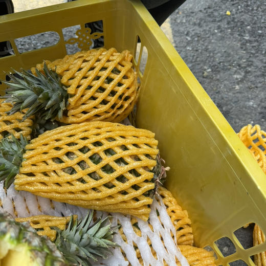 海南金钻 凤梨🍍 无酸 口感好 多汁 味浓 23.8/3个（约4.5-5斤上下） 商品图1