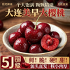 【大连美早樱桃】核心产区10年老树自然熟，原生态种植，无催熟无膨大剂。（72小时内发货，节假日顺延） 商品缩略图2