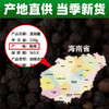 黑胡椒颗粒正宗海南500g纯正碎特产商用胡椒牛排现磨黑胡椒粒瓶级 商品缩略图3