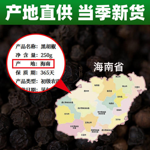 黑胡椒颗粒正宗海南500g纯正碎特产商用胡椒牛排现磨黑胡椒粒瓶级 商品图3