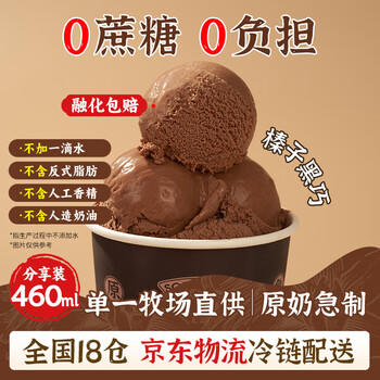 轻遇（SoftCrush）零蔗糖 牛乳零蔗糖冰淇淋榛子黑巧味雪糕甜品家庭杯装460ml 商品图7