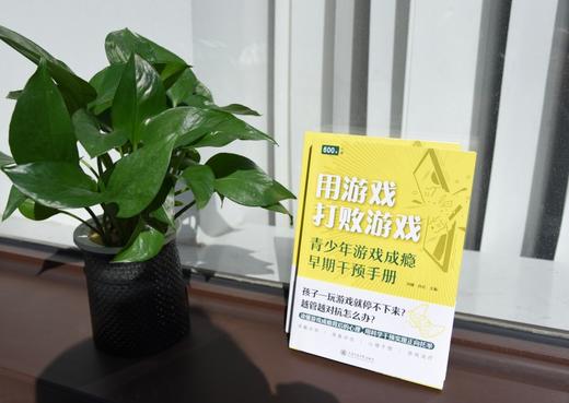 用游戏打败游戏 ：青少年游戏成瘾早期干预手册 商品图1