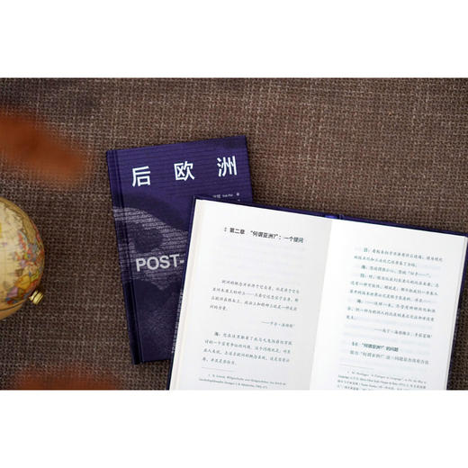 大学问·后欧洲（许煜全新自传式专著，探索当代技术迷思，通往许氏哲学的理想入门读物。） 商品图6