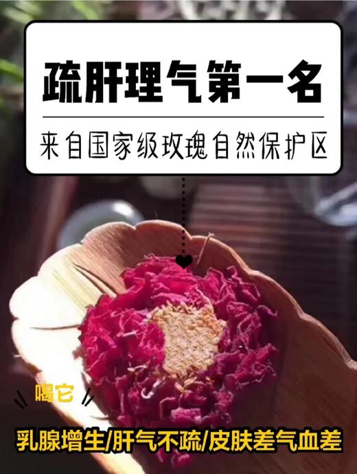 专治“炸毛小情绪”！宝芝林蒲公英玫瑰清茶3盒  26Y04069- 商品图11