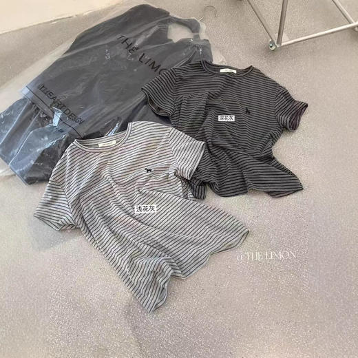 柠檬绿茶夏季韩版简约风条纹小马刺绣休闲正肩圆领百搭短袖T恤   NDK-10369#LWD 商品图4