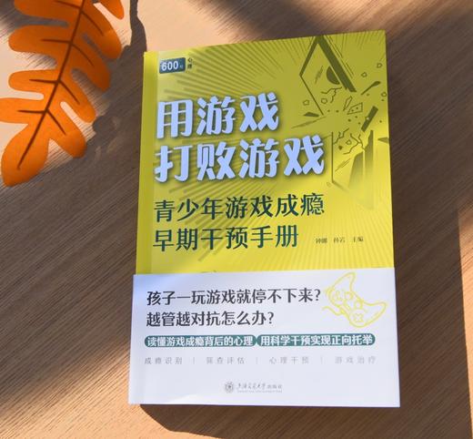 用游戏打败游戏 ：青少年游戏成瘾早期干预手册 商品图6