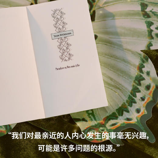 邪恶的幸福（《哥本哈根三部曲》作者托芙·迪特莱弗森短篇代表作，书写女性生活中的希望与失望，展现困于婚姻制度和情感关系的人类处境） 商品图3