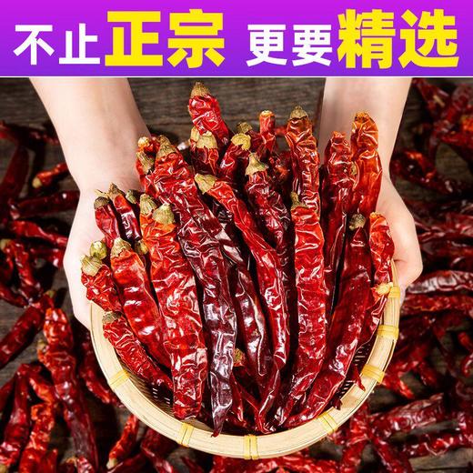 正宗四川二斤条干辣椒500g商用香而不辣红干货散装微辣特香二荆条 商品图2