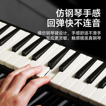 天鹅（SWAN）口风琴37键专业演奏小学生专用加吹嘴儿童成人口风琴EVA硬包黑色 商品图4