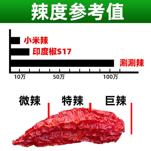 云南涮涮辣辣椒250g德宏魔鬼椒超辣王爆巨辣特别干辣椒特辣变态辣 商品图2