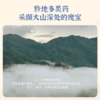 真不二鹅不食草鼻通贴：贴一贴、清爽舒鼻【HZ】 商品缩略图1