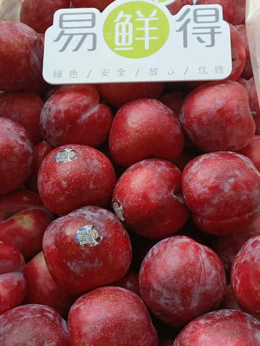 智力雪花李40# 高品质，脆爽口感  家庭装3斤装/5斤装 商品图1