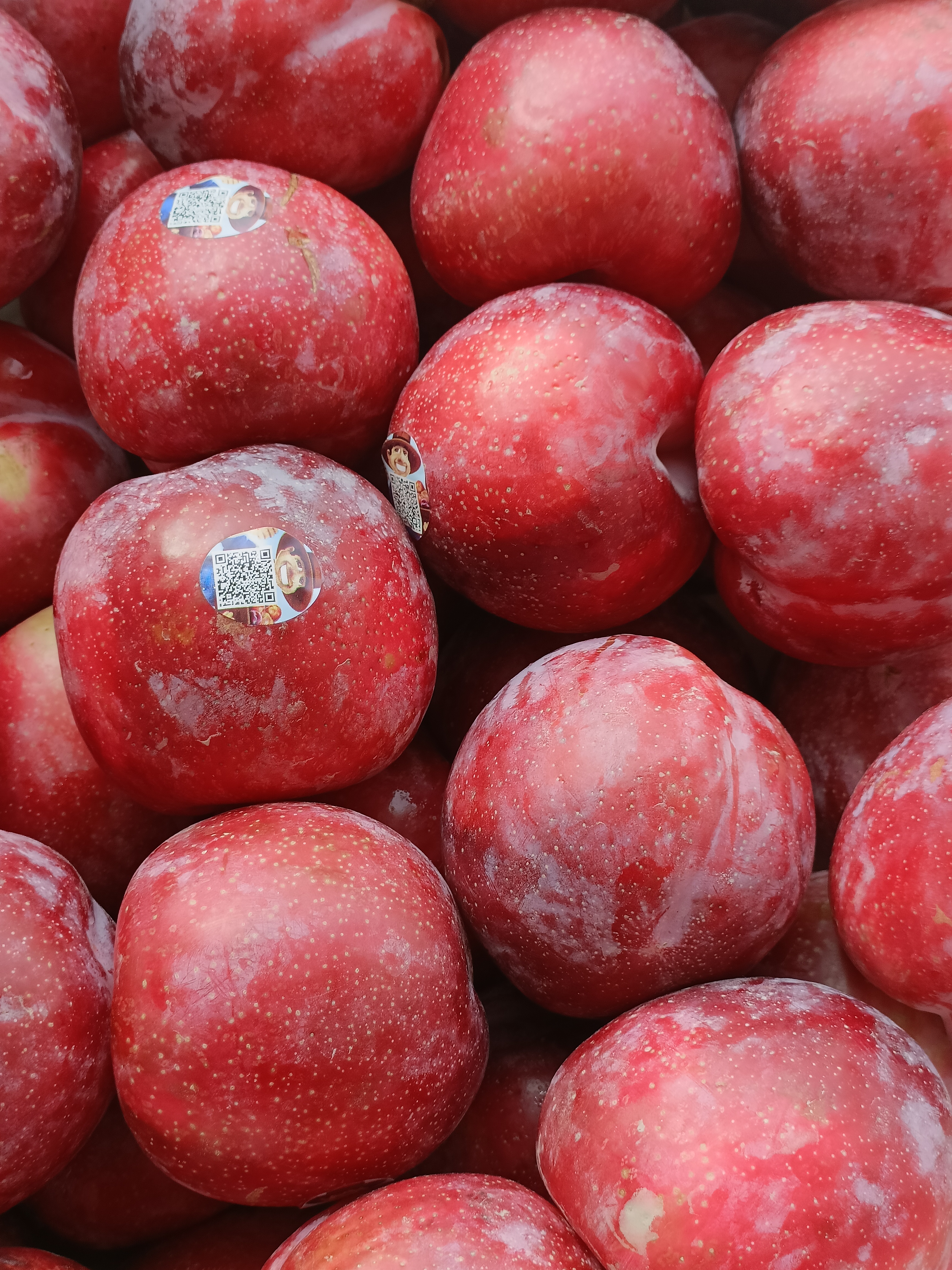 智力雪花李40# 高品质，脆爽口感  家庭装3斤装/5斤装