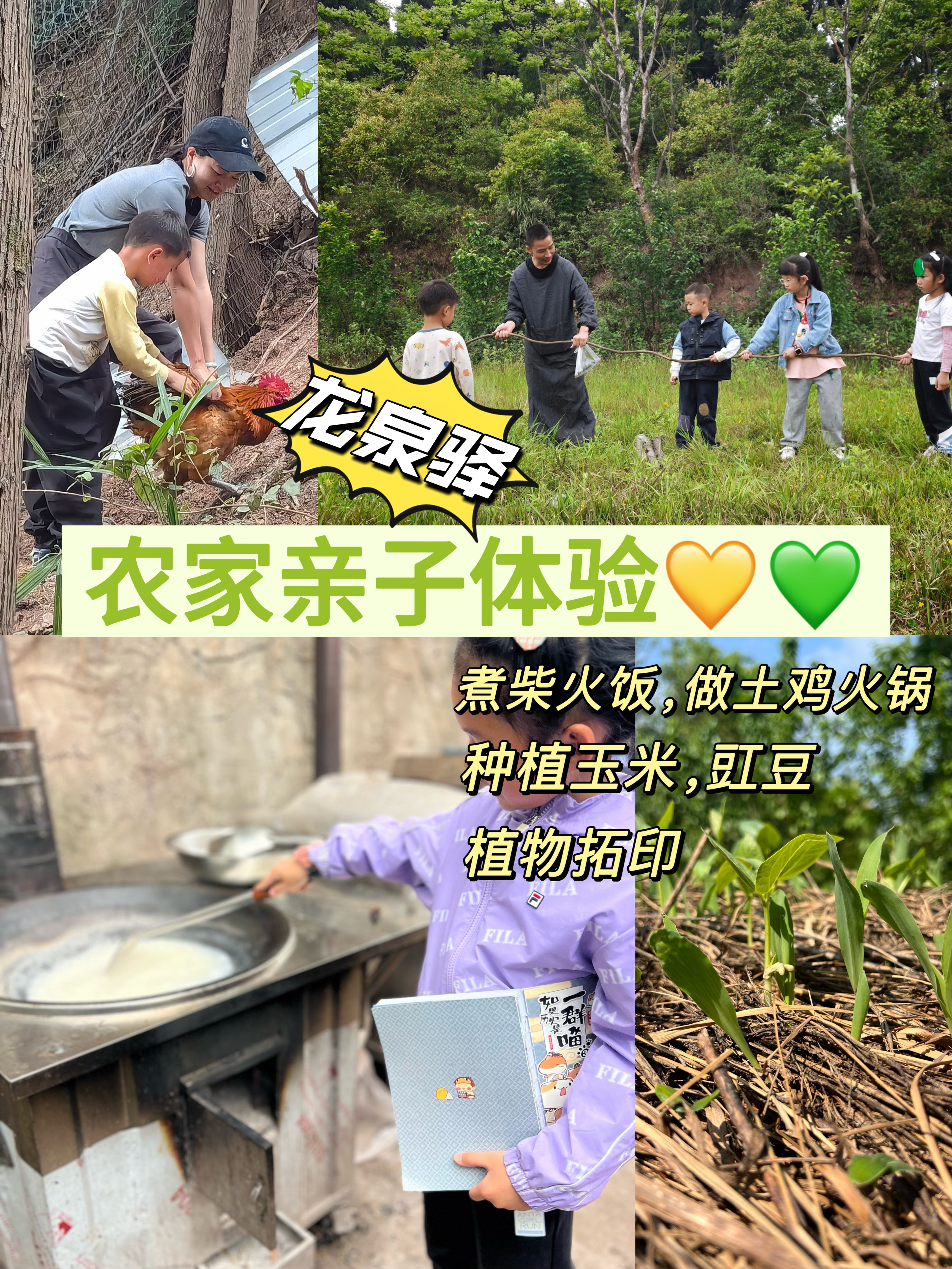 4.19【龙泉山.农家亲子活动体验】种玉米、栽豇豆、挖葛根、荡葛秋千、葛藤运动会、葛藤叶拓印、抓鸡、土鸡土火锅