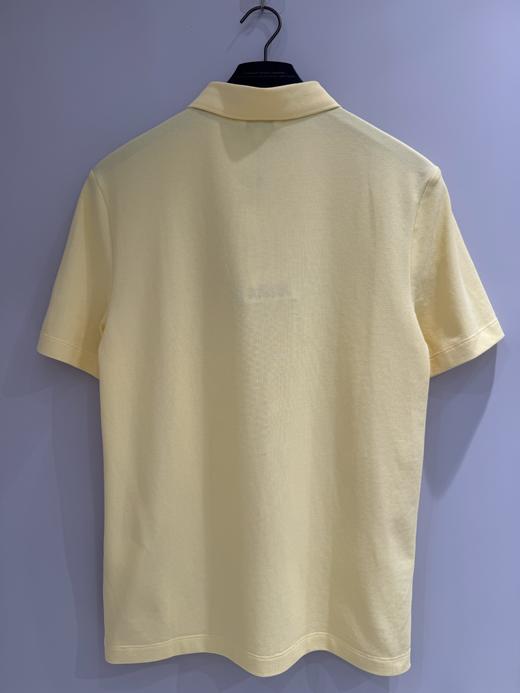 艾高 短袖POLOT恤男  BT991-F . 商品图1