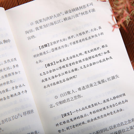 国学十典 商品图3