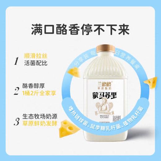 兰格格1kg蒙古马苏里酸奶 商品图4