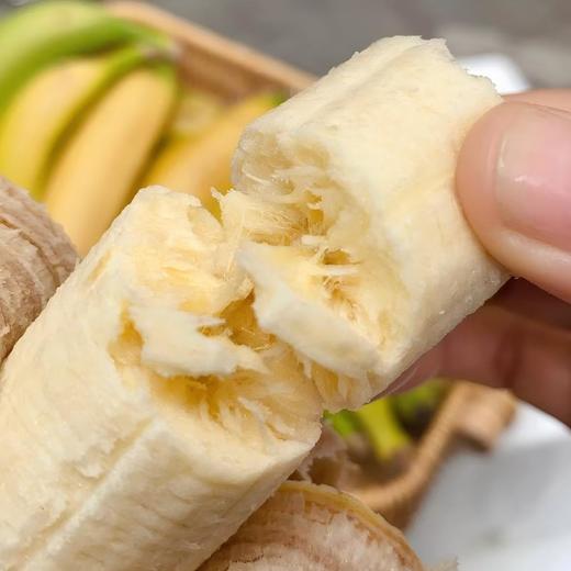 云南西双版纳威廉斯香蕉|山人优选，精品1级，珍珠棉抽真空 商品图2