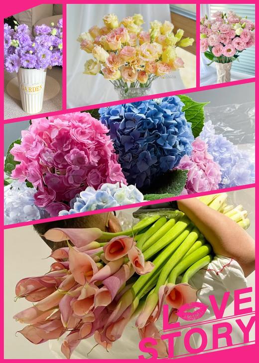 【四月宜养花】火烈鸟马蹄莲5支+香槟色洋桔梗7-10朵+紫色系洋桔梗或粉色系7-10朵+送小绣球1支/份（绣球容易脱水送的不售后） 商品图0