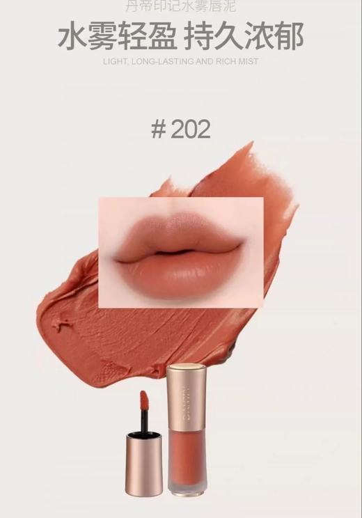 丹帝印记丝绒唇泥-唇釉 商品图6